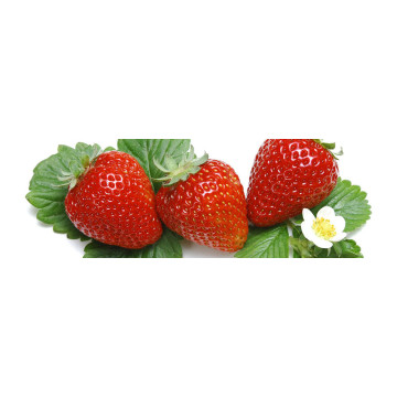 Фотобумага Magic 10*15см матовая 200g Superior (100л)